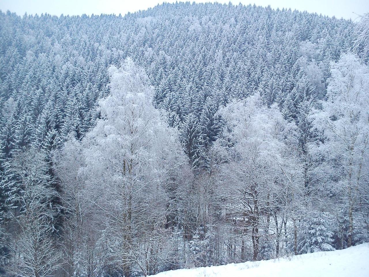 Landhaus Lautenthal Esterno foto